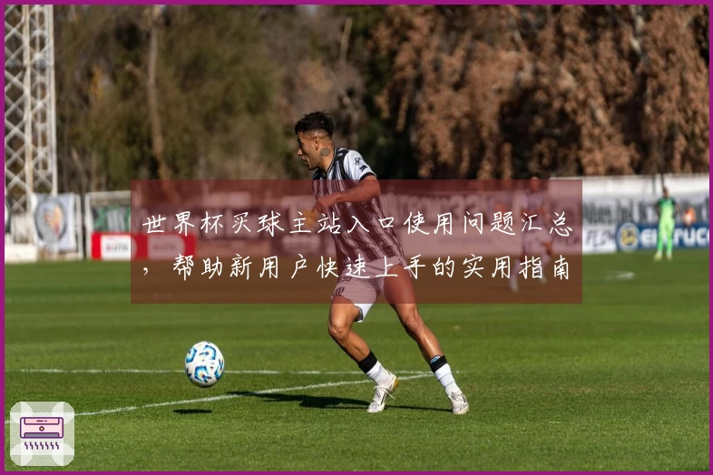 世界杯买球主站入口使用问题汇总，帮助新用户快速上手的实用指南
