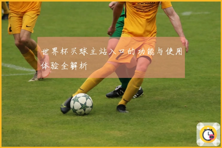 世界杯买球主站入口的功能与使用体验全解析