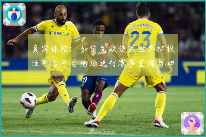 真实体验：如何高效使用世界杯投注平台平台地址进行赛事直播与回放