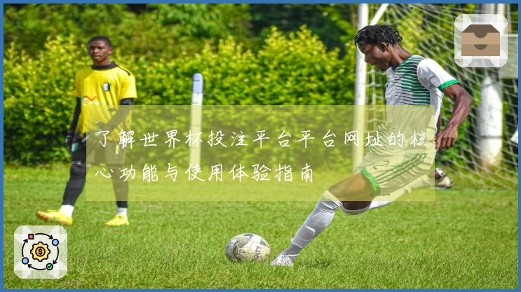 了解世界杯投注平台平台网址的核心功能与使用体验指南