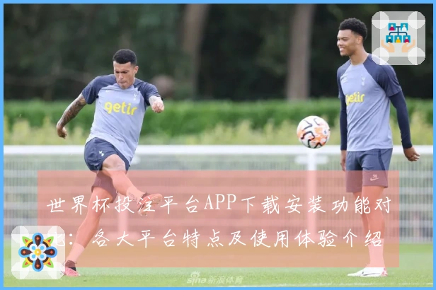 世界杯投注平台APP下载安装功能对比：各大平台特点及使用体验介绍