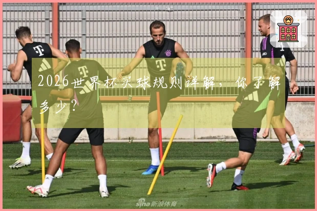 2026世界杯买球规则详解，你了解多少？