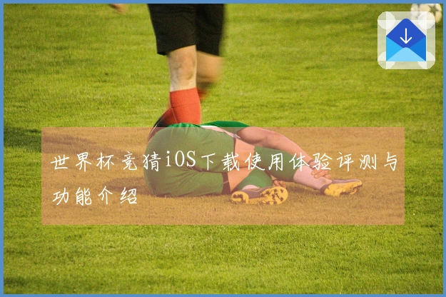 世界杯竞猜iOS下载使用体验评测与功能介绍