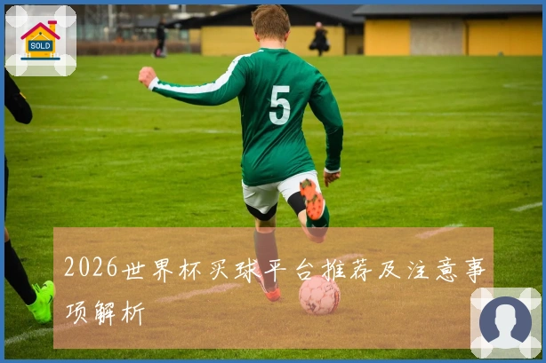 2026世界杯买球平台推荐及注意事项解析