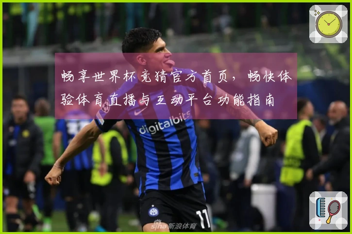 畅享世界杯竞猜官方首页，畅快体验体育直播与互动平台功能指南