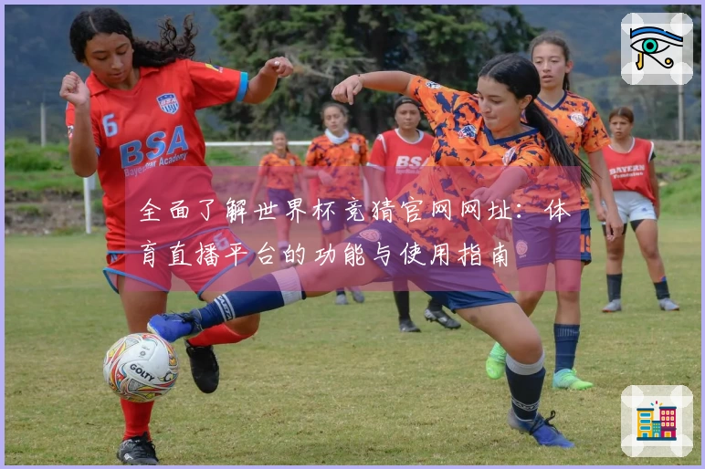 全面了解世界杯竞猜官网网址：体育直播平台的功能与使用指南