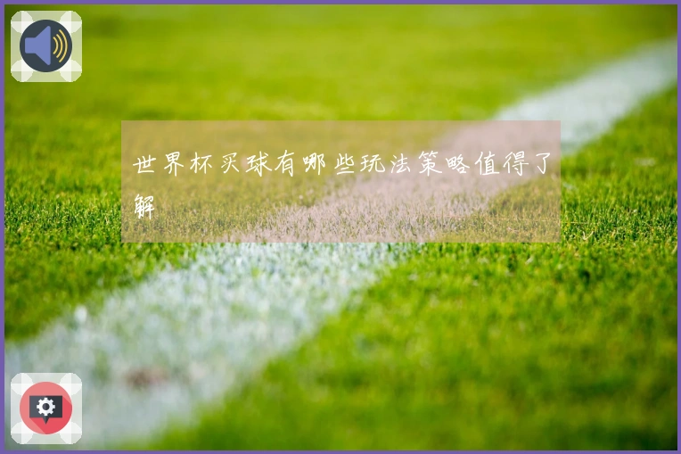 世界杯买球有哪些玩法策略值得了解