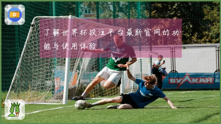 了解世界杯投注平台最新官网的功能与使用体验