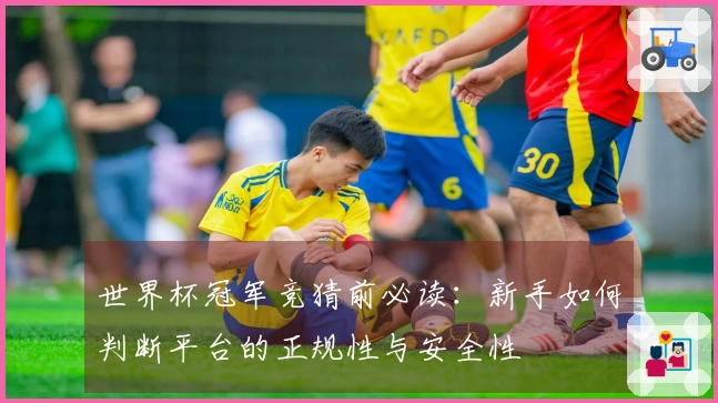 世界杯冠军竞猜前必读：新手如何判断平台的正规性与安全性