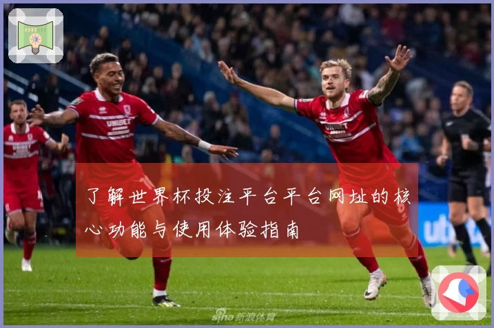 了解世界杯投注平台平台网址的核心功能与使用体验指南