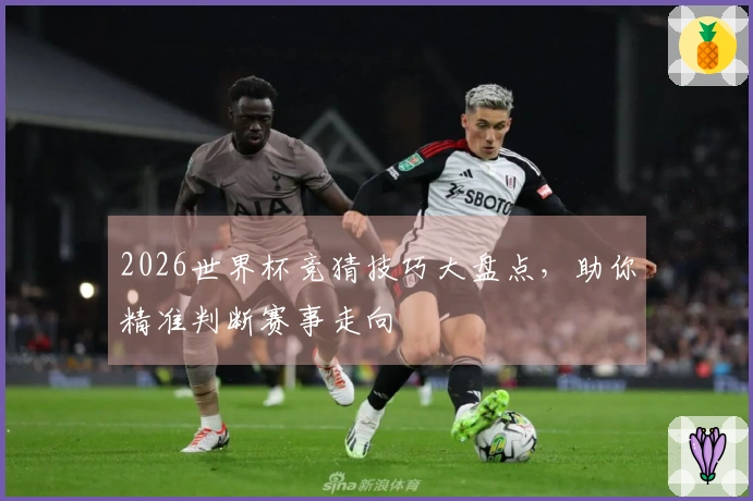 2026世界杯竞猜技巧大盘点，助你精准判断赛事走向