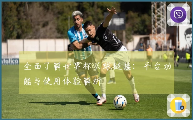 全面了解世界杯买球链接：平台功能与使用体验解析