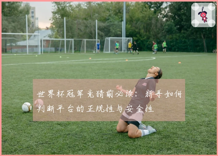 世界杯冠军竞猜前必读：新手如何判断平台的正规性与安全性
