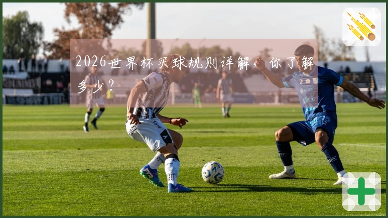 2026世界杯买球规则详解，你了解多少？